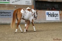 23-APHA SS_042